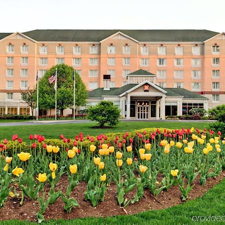 Hilton Garden Inn Albany Airport Латам Экстерьер фото